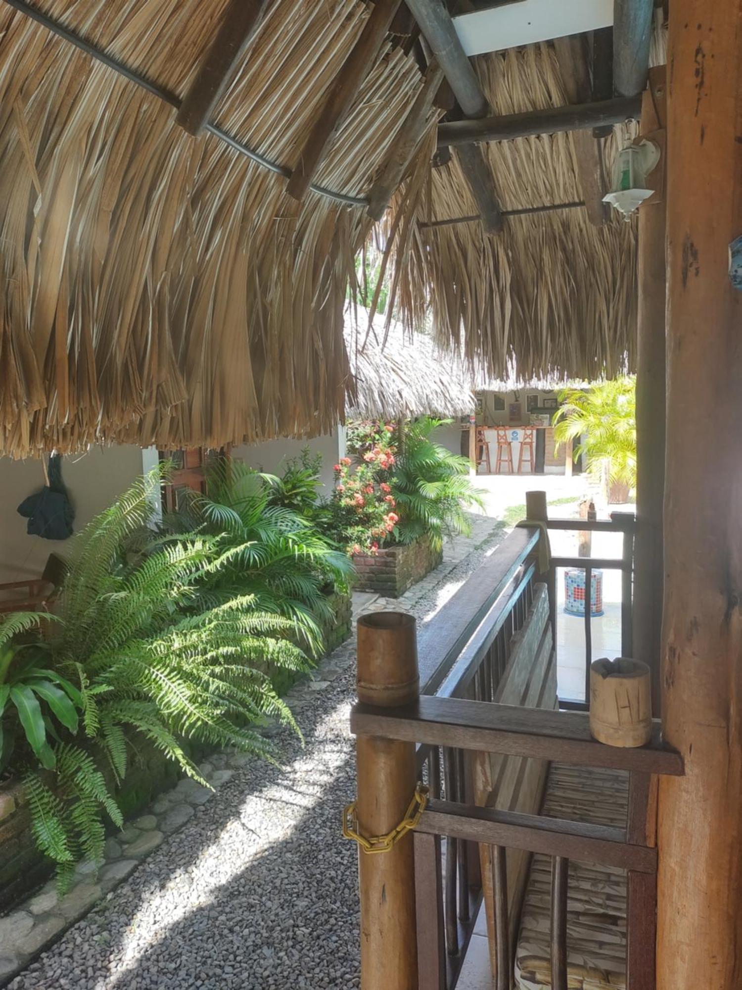 Hotel El Leon Feliz Palomino Extérieur photo