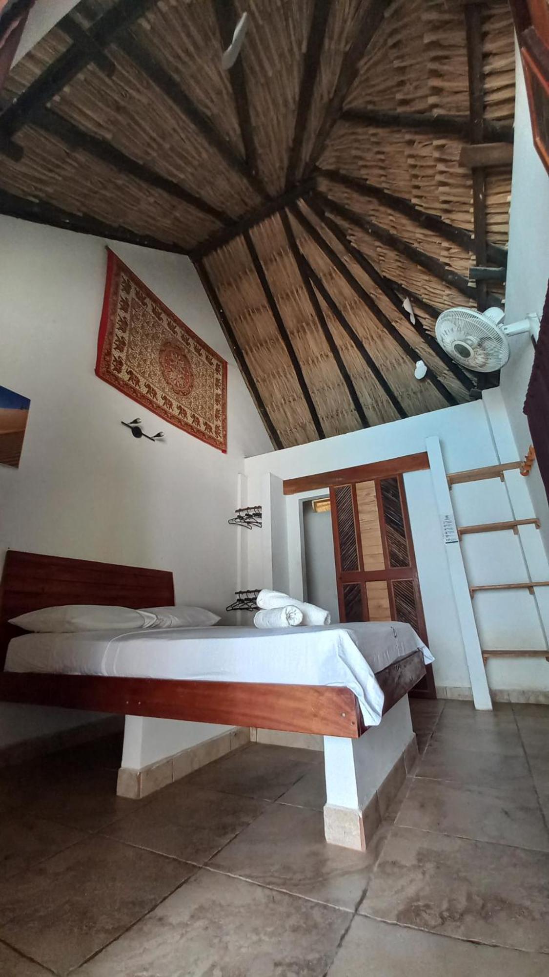 Hotel El Leon Feliz Palomino Extérieur photo